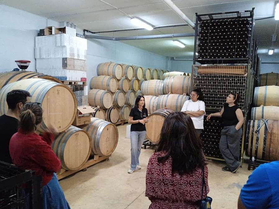 Barricas de madera en la bodega Marta Maté, Ribera del Duero
