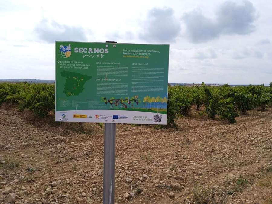 Cartel de Secanos Vivos en el viñedo de Marta Maté, símbolo del compromiso con la biodiversidad.