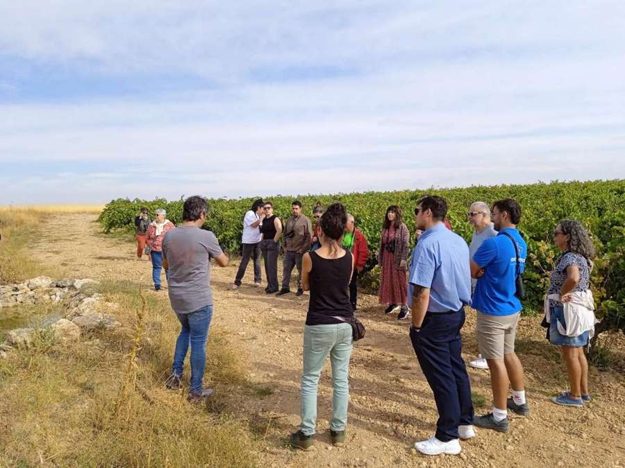 Equipo de visitantes recorriendo el viñedo de Marta Maté durante la jornada.